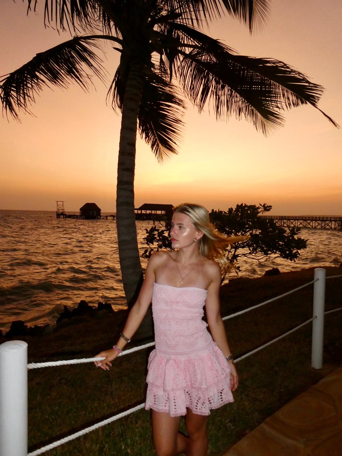 SOFIA dress