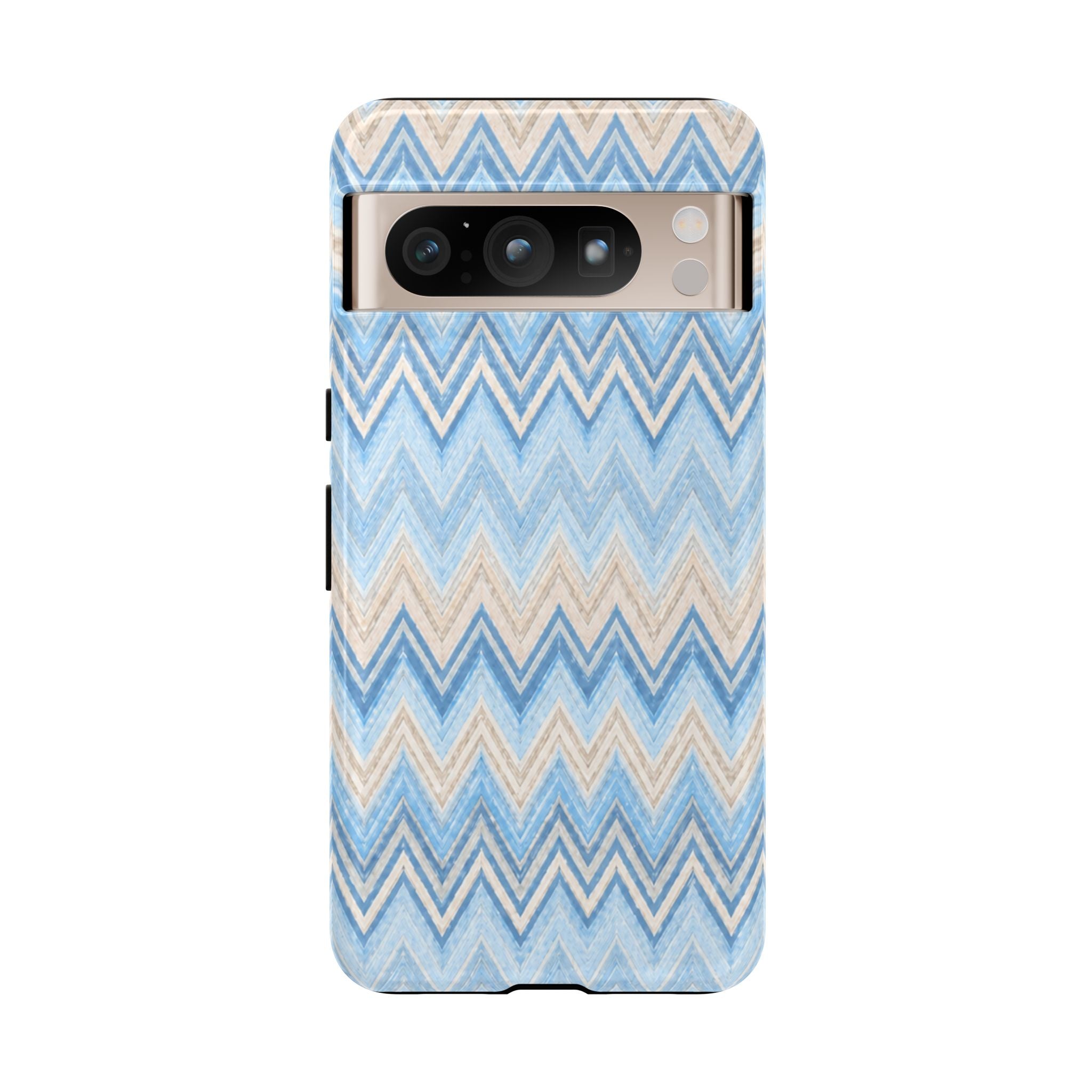PLAYA case