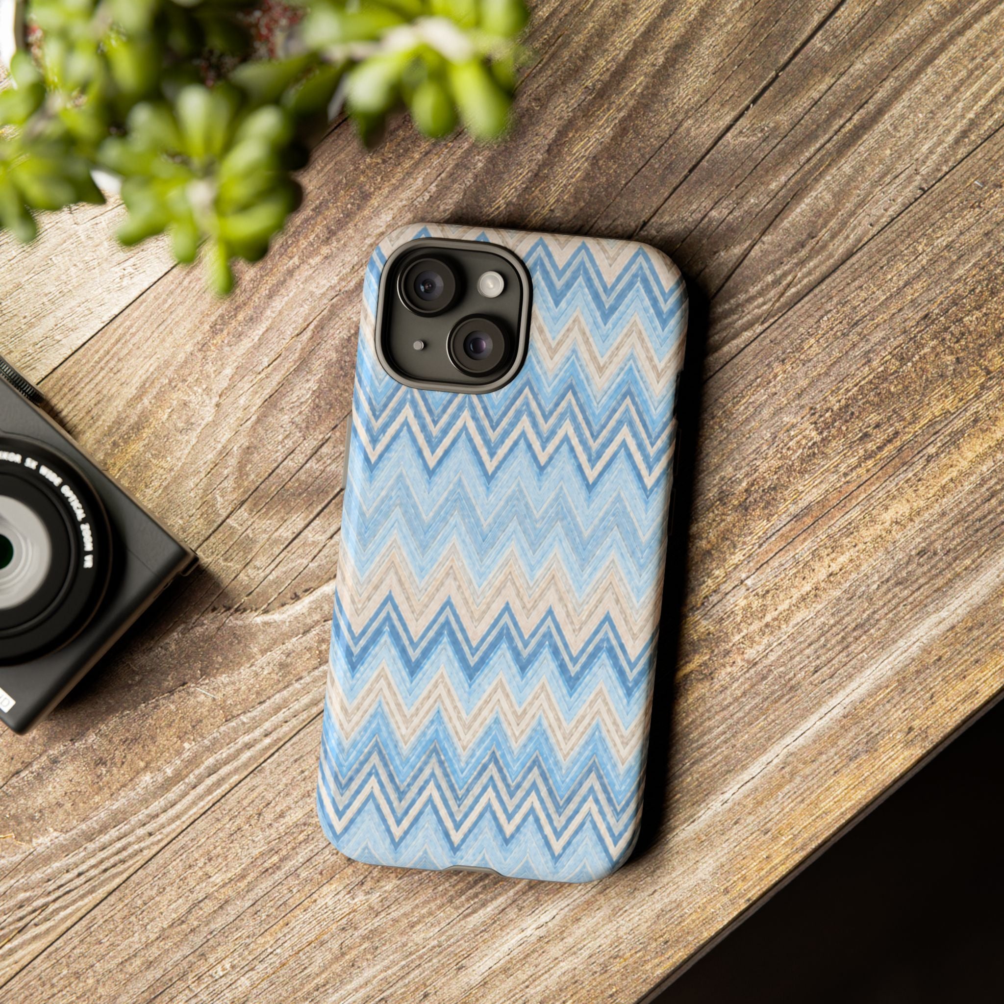 PLAYA case