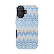 PLAYA case