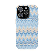 PLAYA case