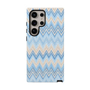 PLAYA case