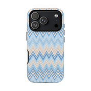 PLAYA case