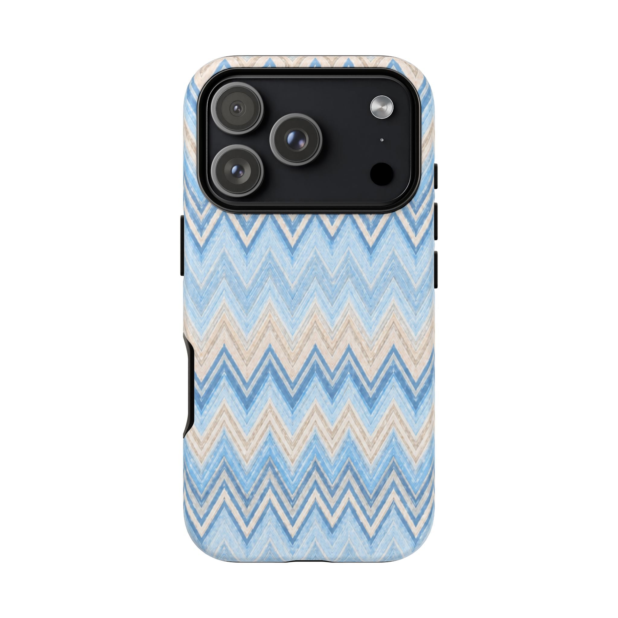 PLAYA case
