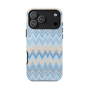 PLAYA case