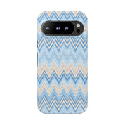 PLAYA case