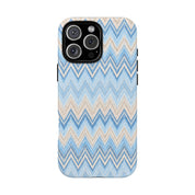 PLAYA case