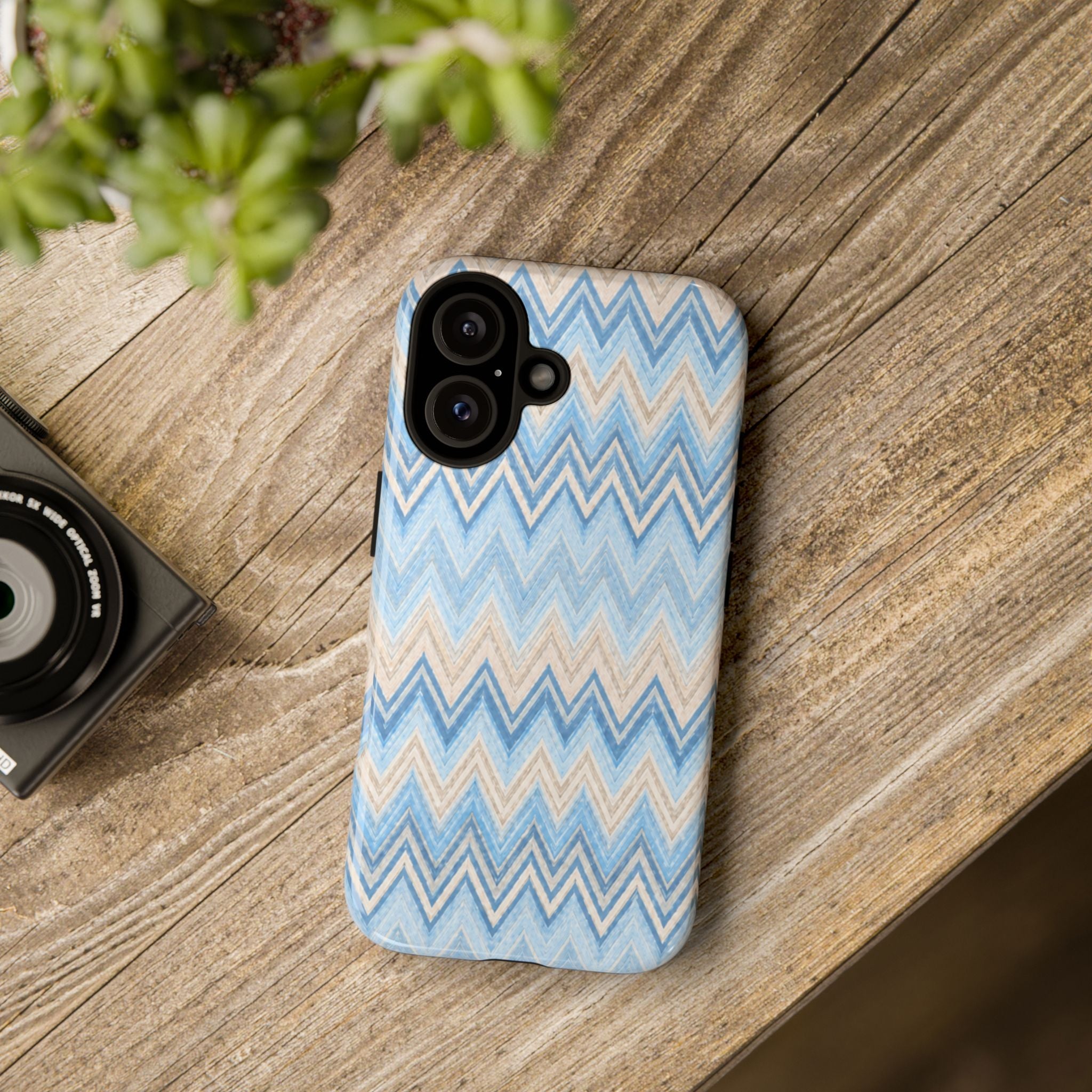 PLAYA case