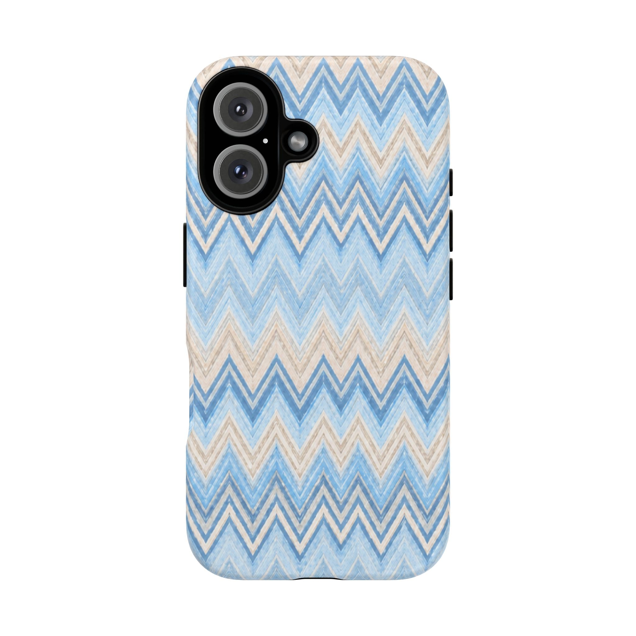 PLAYA case