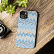 PLAYA case