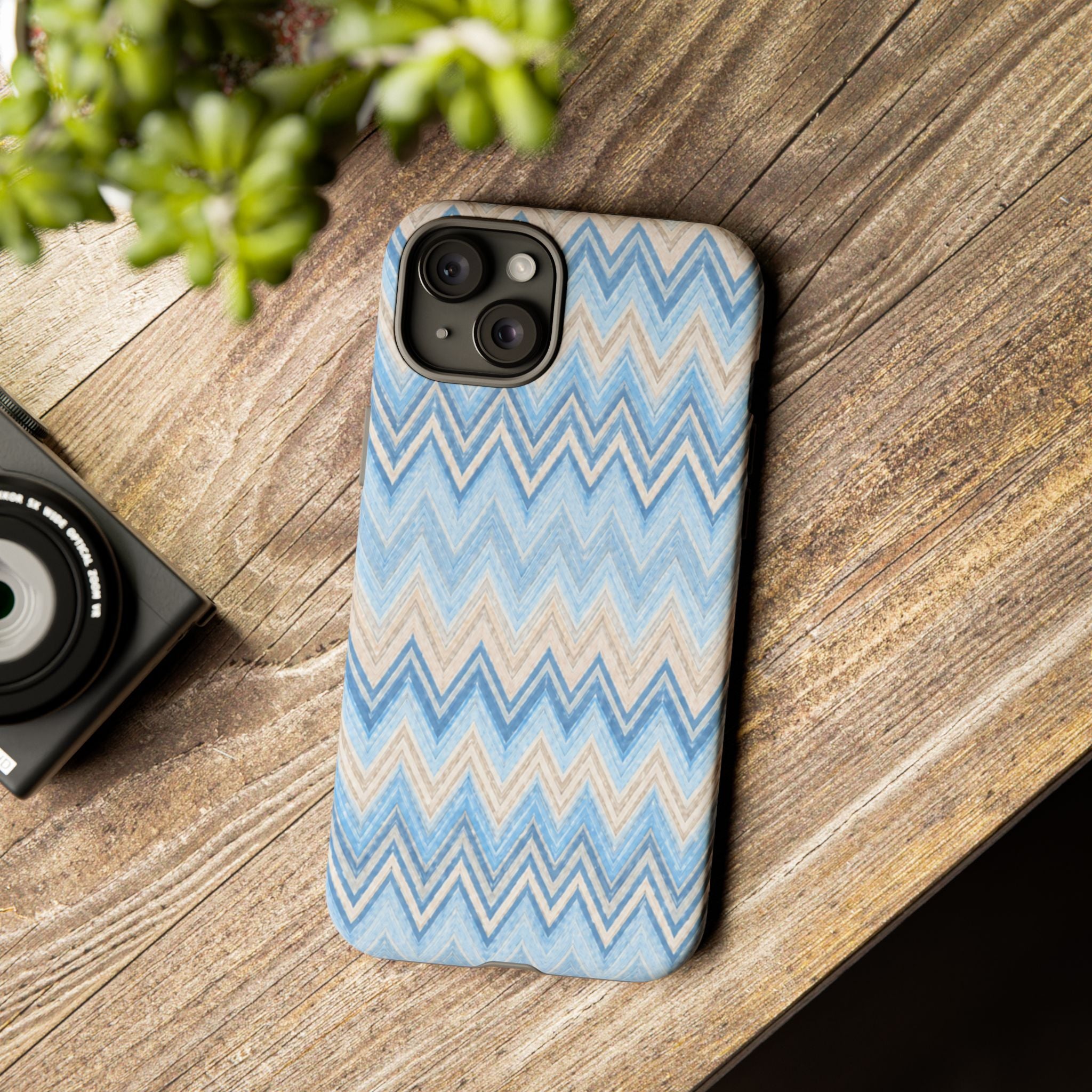 PLAYA case