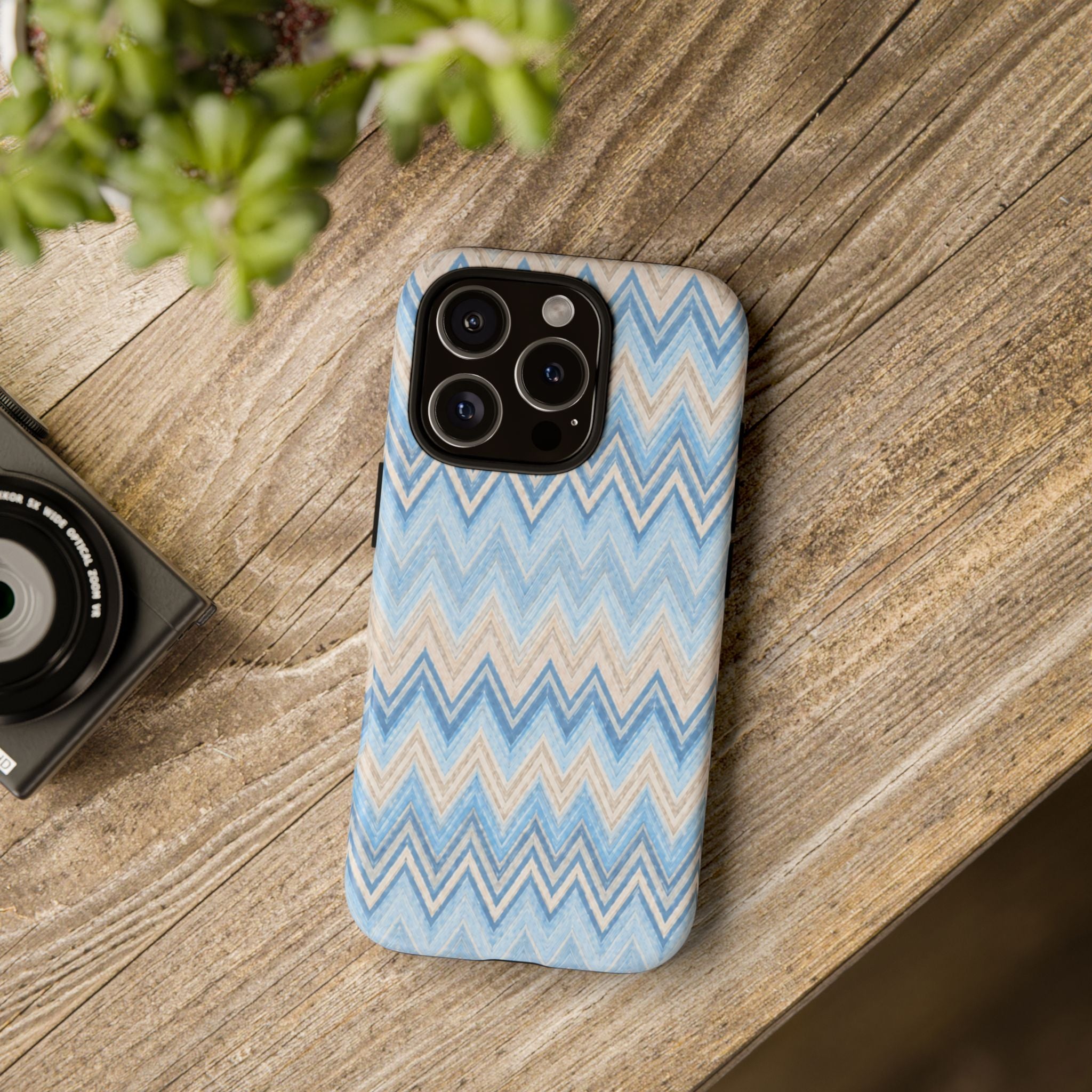 PLAYA case
