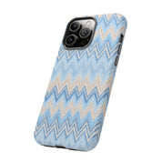 PLAYA case