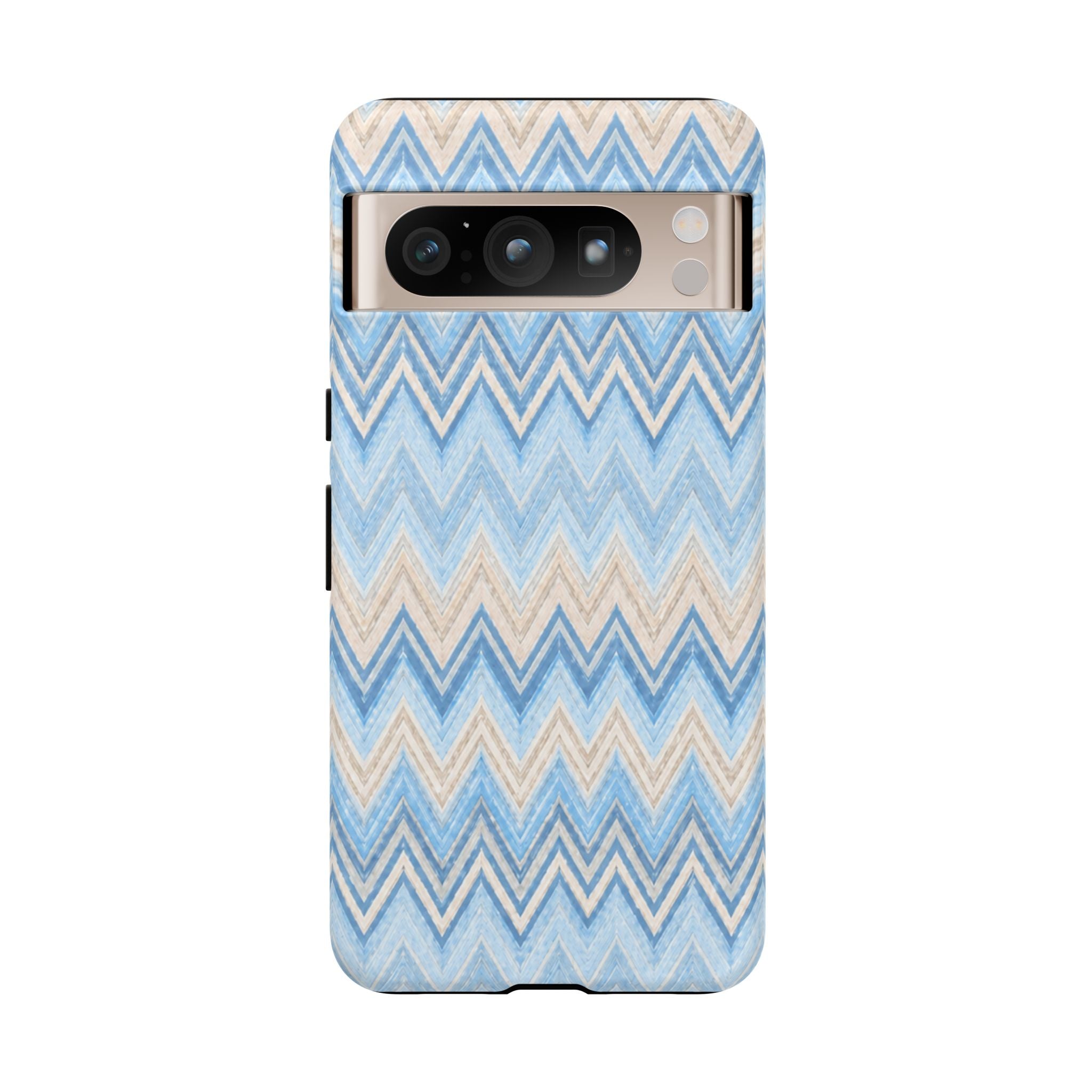 PLAYA case