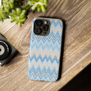 PLAYA case