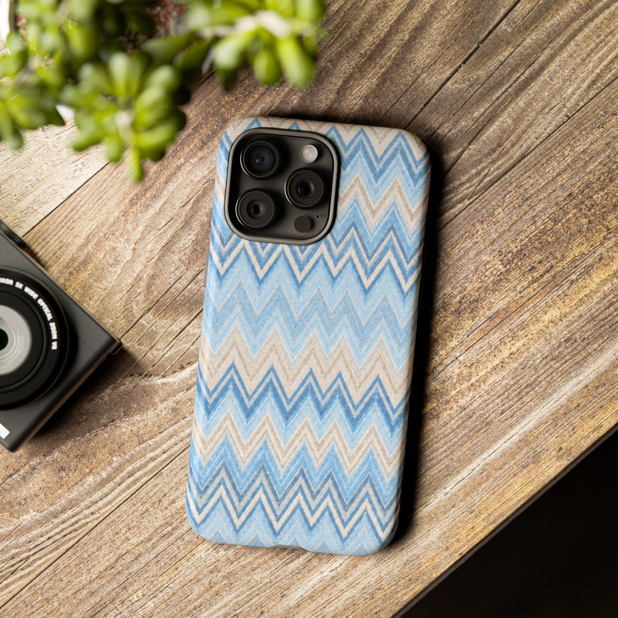 PLAYA case