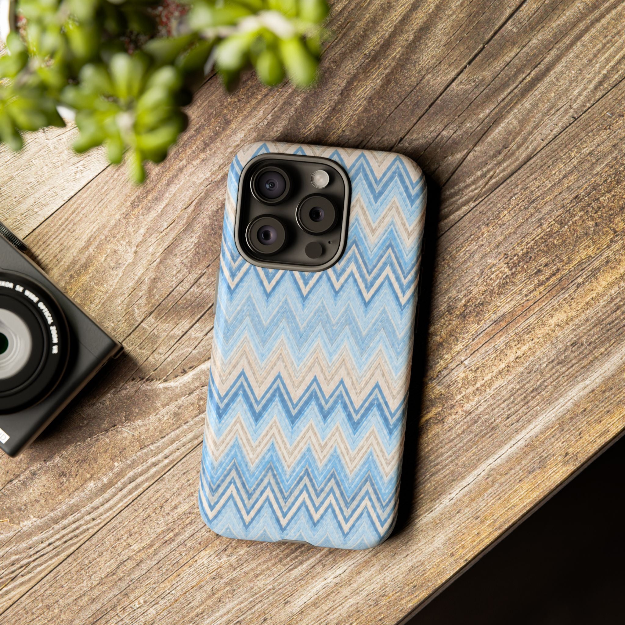 PLAYA case