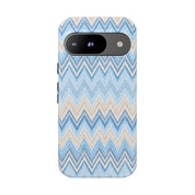 PLAYA case