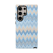 PLAYA case