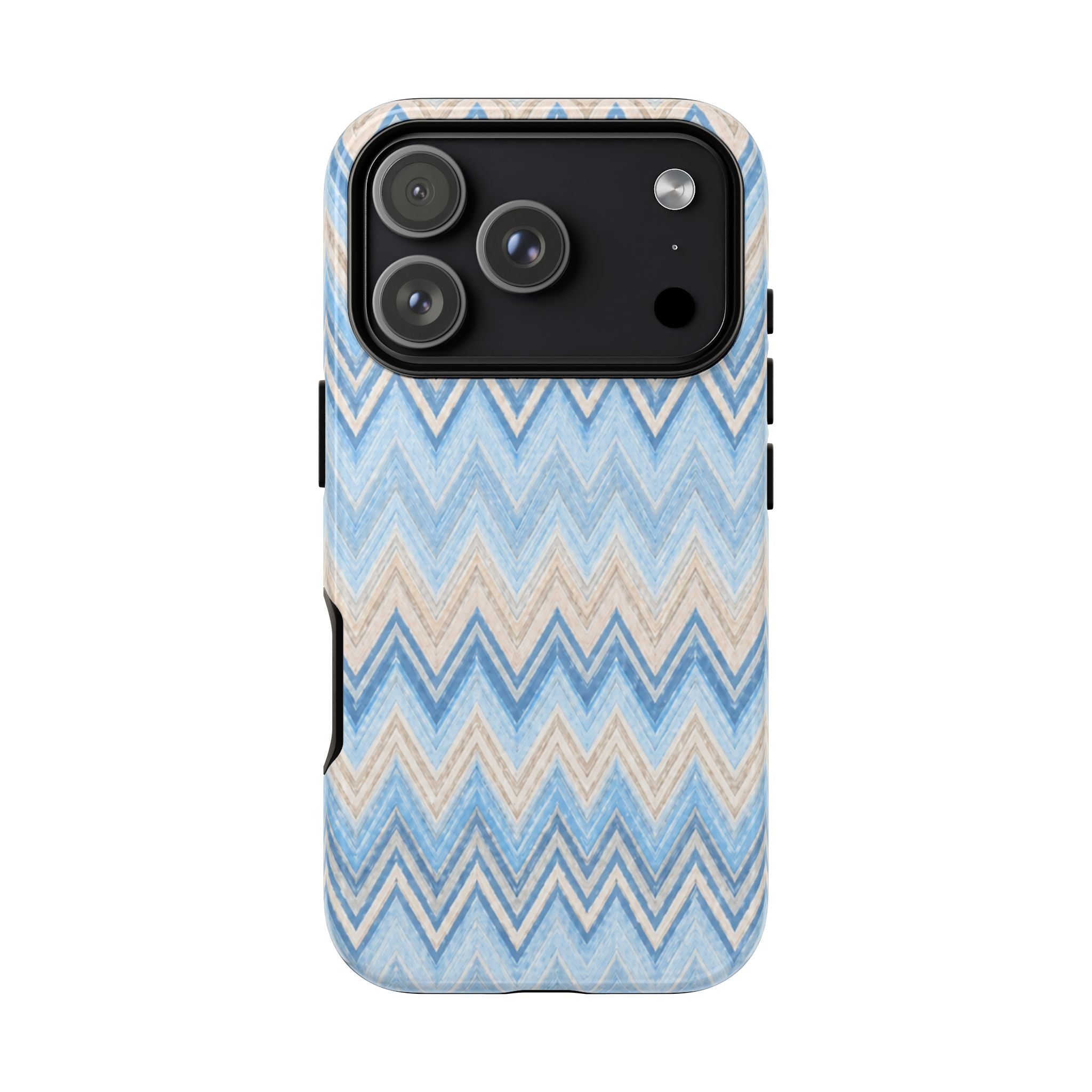 PLAYA case